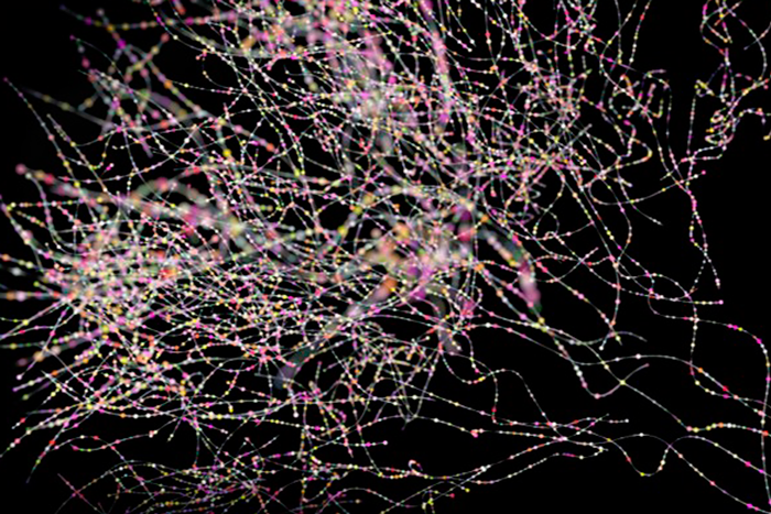 [#if coverImage??]
    [#if coverImage?is_hash]
        [#if coverImage.alt??]
            ${coverImage.alt}
        [/#if]
    [/#if]
[/#if]