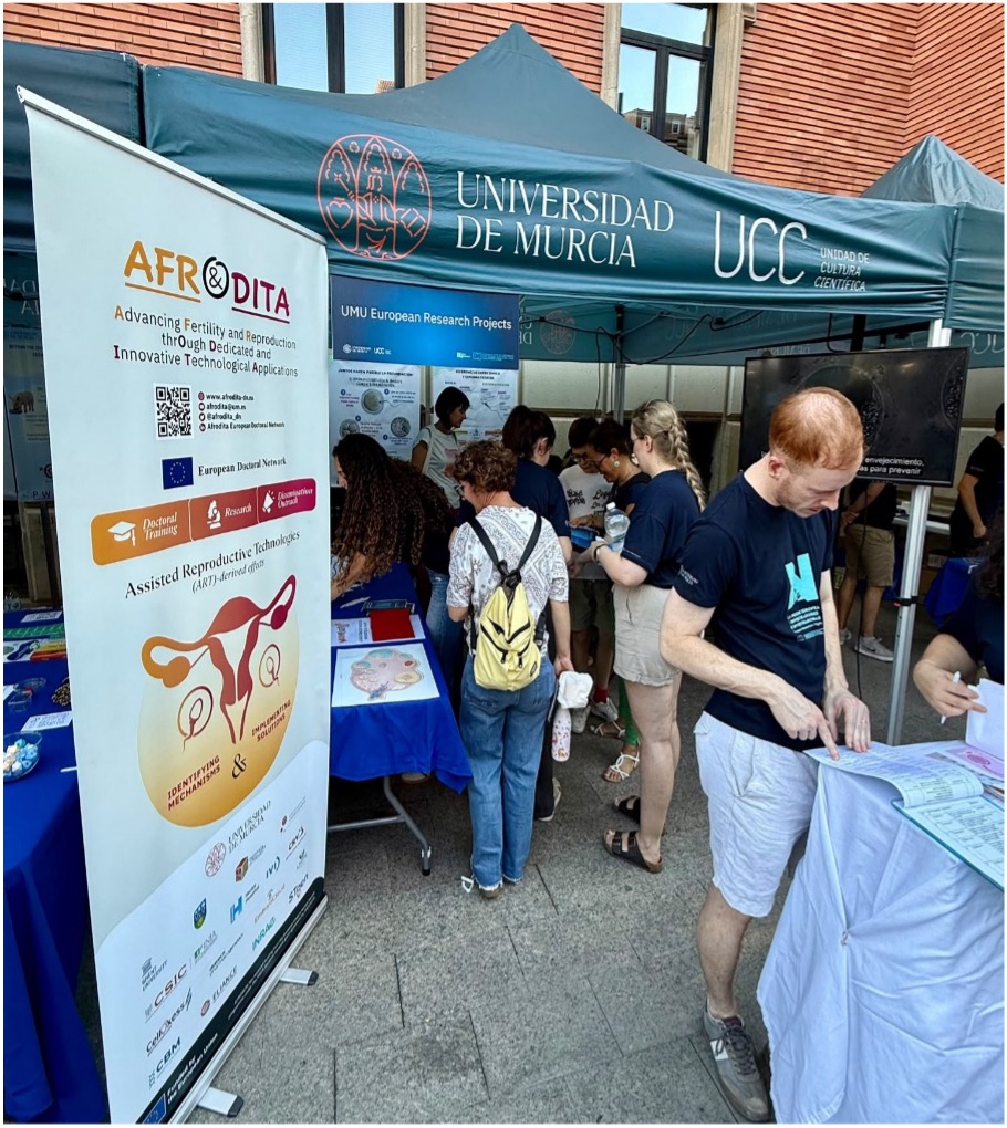 AFRODITA activities at the European Researchers’ Night in Murcia